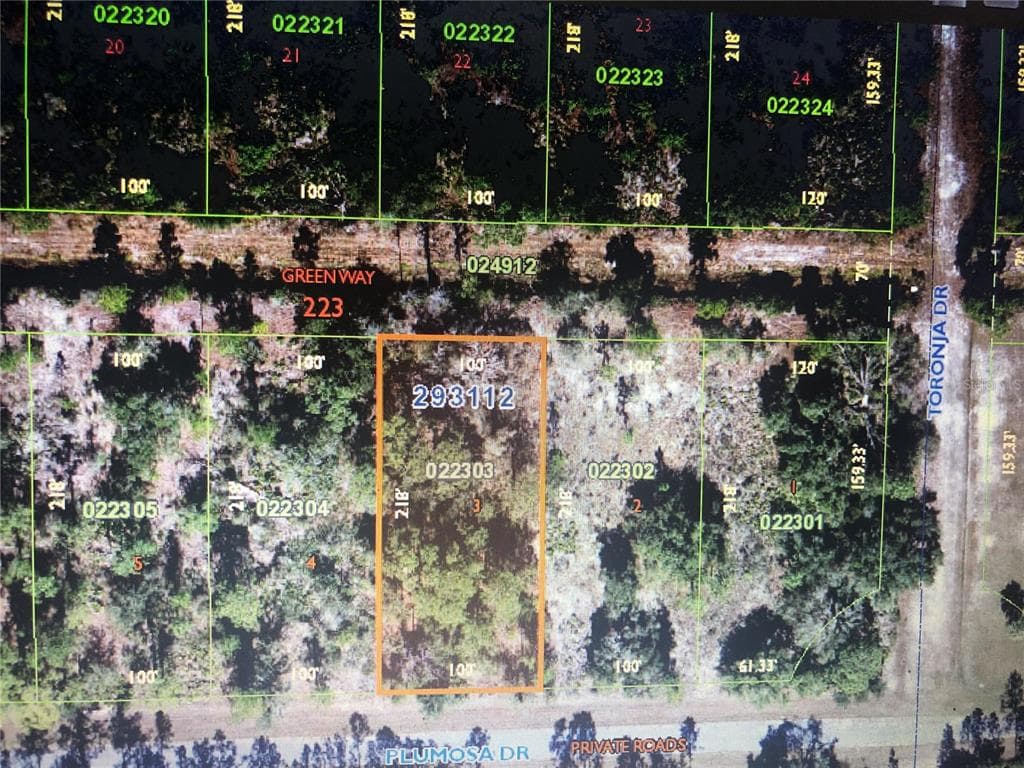 906 PLUMOSA DRIVE INDIAN LAKE ESTATES, FL 33855