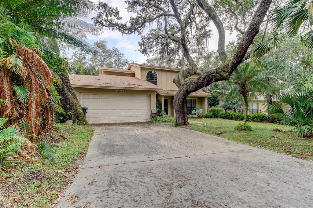 14728 TALL TREE DRIVE LUTZ, FL 33559