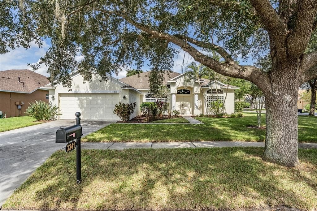 3341 ASHMONTE DRIVE LAND O LAKES, FL 34638