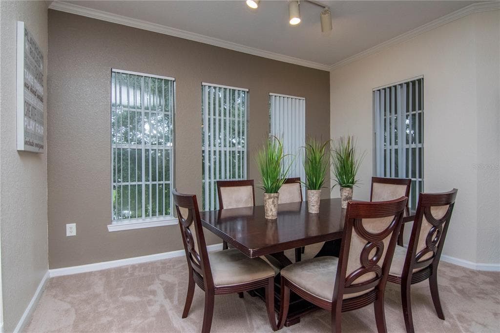 1201 HIGH HAMMOCK DRIVE UNIT 305 TAMPA, FL 33619