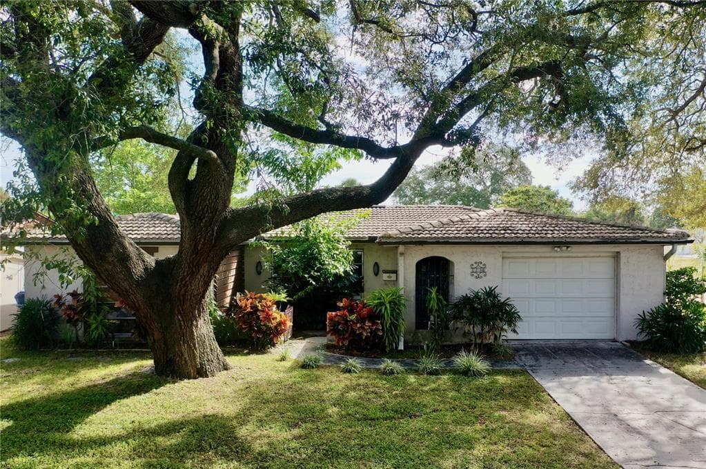 1114 CHELSEA LANE HOLIDAY, FL 34691