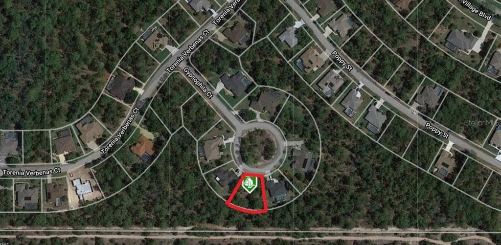 10 GYPSOPHILA COURT HOMOSASSA, FL 34446
