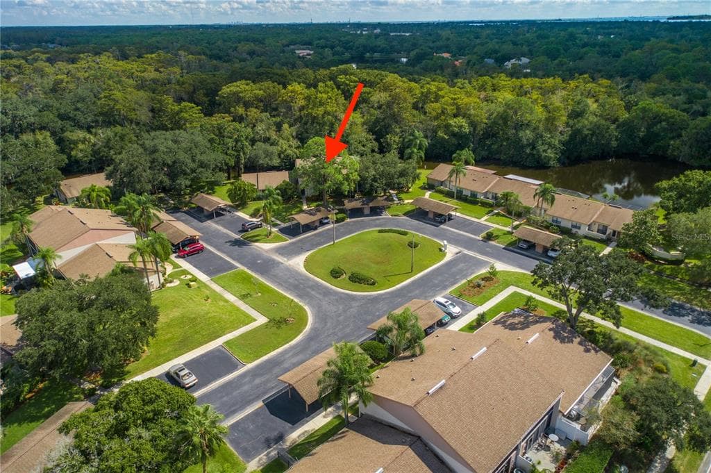 100 INGRID PLACE OLDSMAR, FL 34677