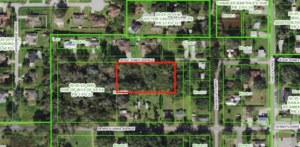 JESSE JONES AVENUE SAN ANTONIO, FL 33576