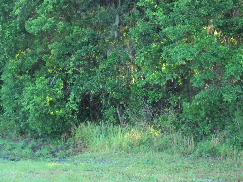 COUNTY LINE ROAD LAKELAND, FL 33811