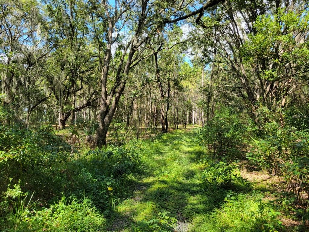 15410 CARUTHERS ROAD DOVER, FL 33527