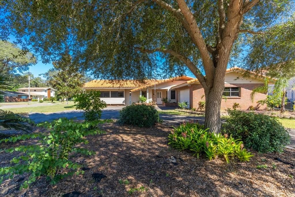 1001 WILLOWBRANCH AVENUE CLEARWATER, FL 33764