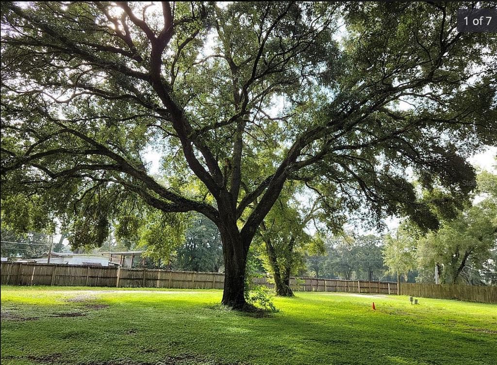 10160 HARNEY ROAD THONOTOSASSA, FL 33592