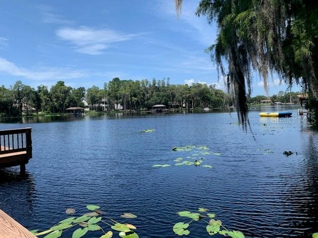 16203 SENTRY WOODS COURT ODESSA, FL 33556