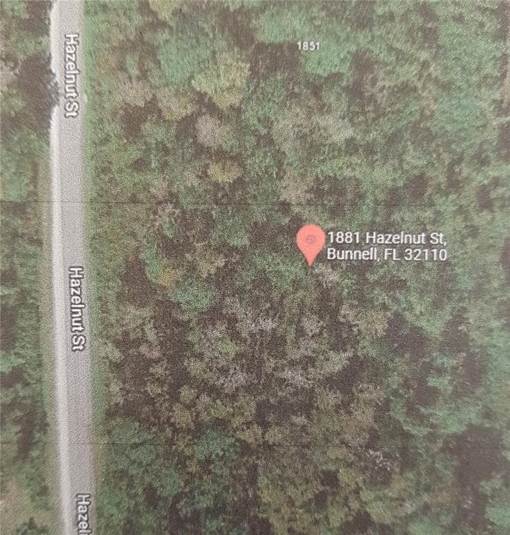 1881 HAZELNUT STREET BUNNELL, FL 32110