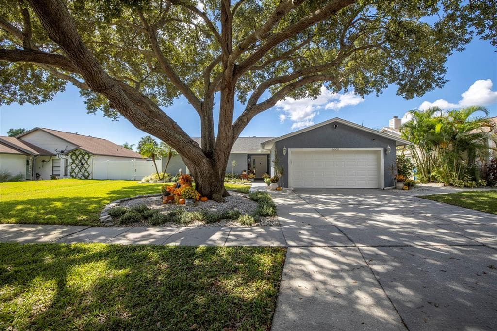 6602 SEAFAIRER DRIVE TAMPA, FL 33615