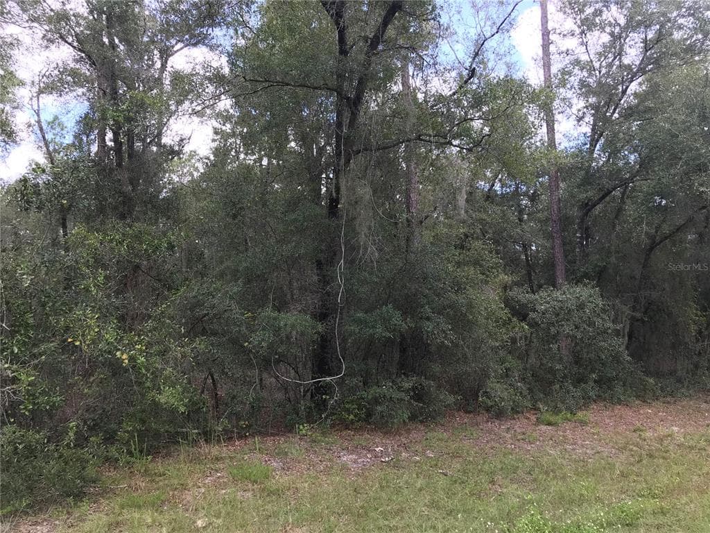 525 W G MARTINELLI BOULEVARD CITRUS SPRINGS, FL 34434