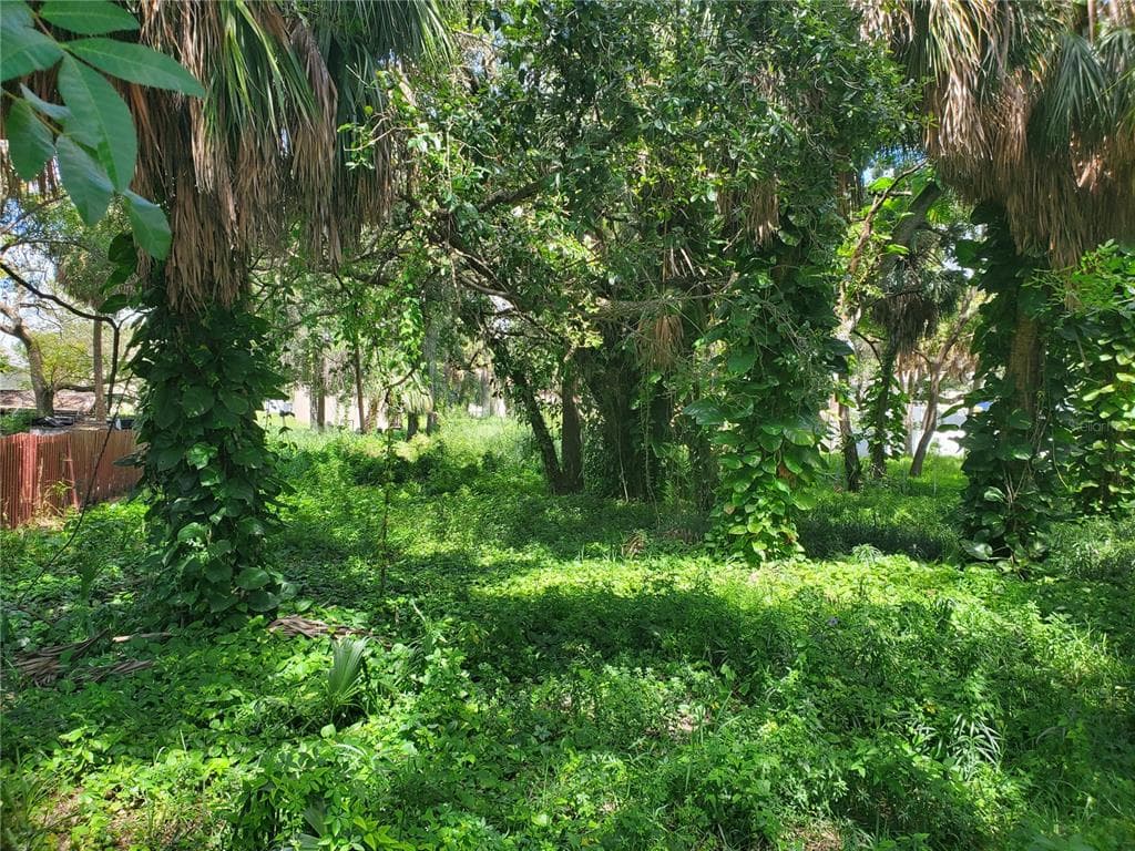 0 MARTIN LUTHER KING JR DRIVE UNIT 17 TARPON SPRINGS, FL 34689
