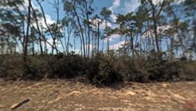 8564 N LINDHURST CIRCLE CITRUS SPRINGS, FL 34433