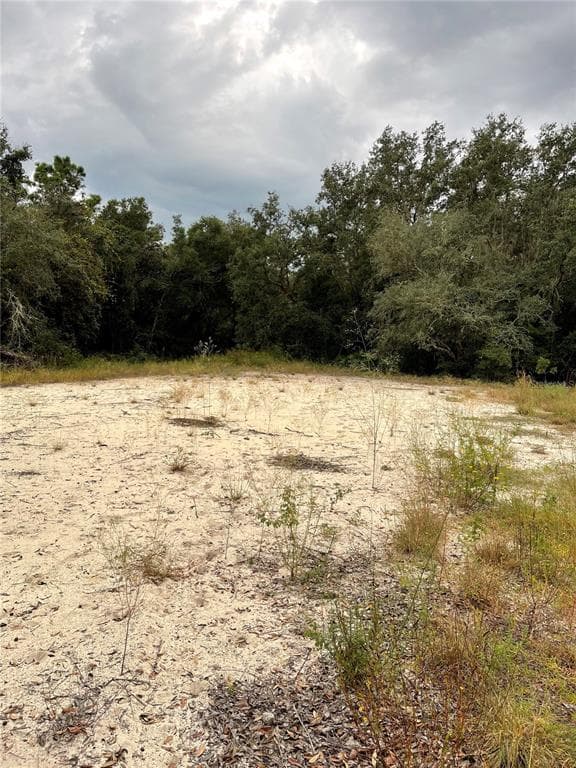 34026 EILER BOULEVARD WEBSTER, FL 33597