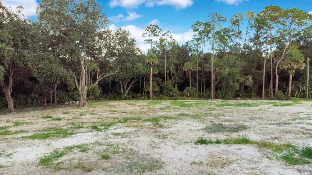 1356 MONTZEN ROAD DAVENPORT, FL 33896