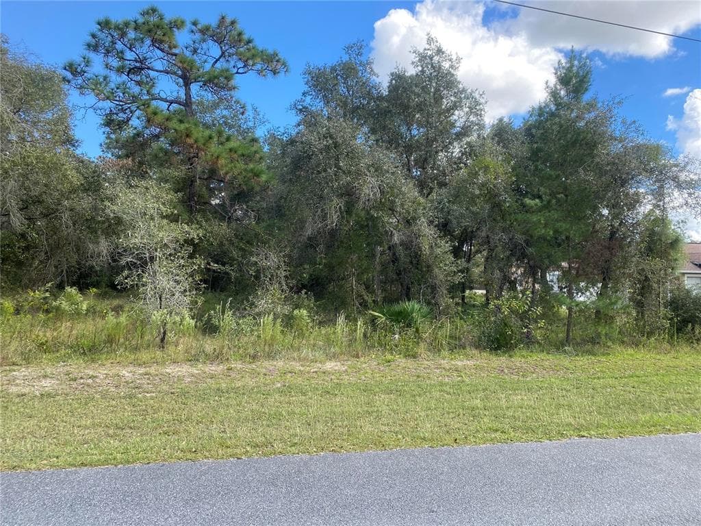 11014 GOLDEN WARBLER ROAD BROOKSVILLE, FL 34613