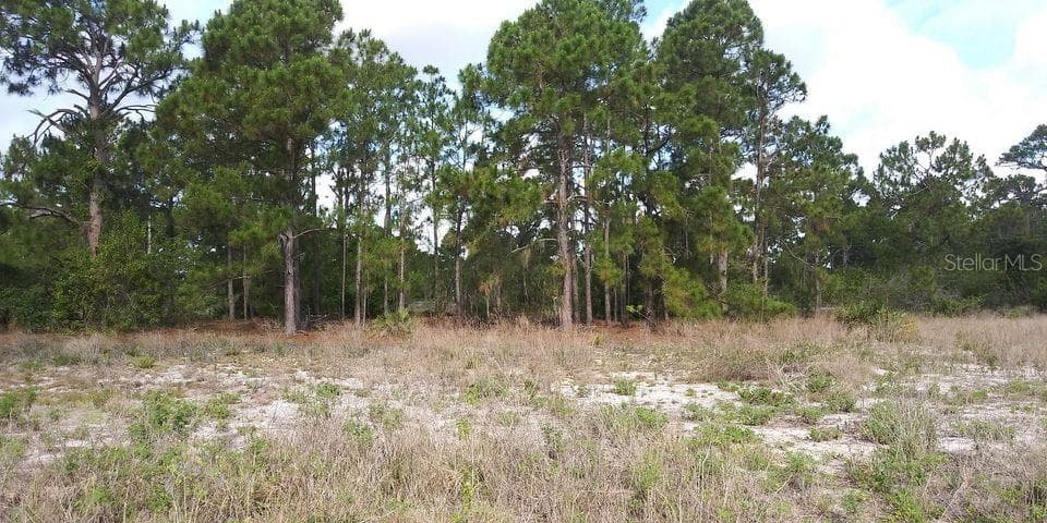 644 STARGAZER DRIVE LAKE PLACID, FL 33852