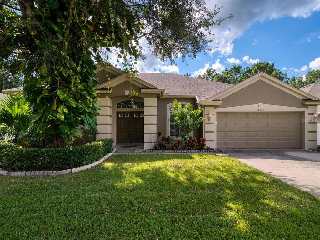 19022 FERN MEADOW LOOP LUTZ, FL 33558