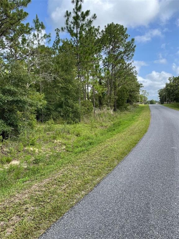 SW 115TH TERRACE OCALA, FL 34481