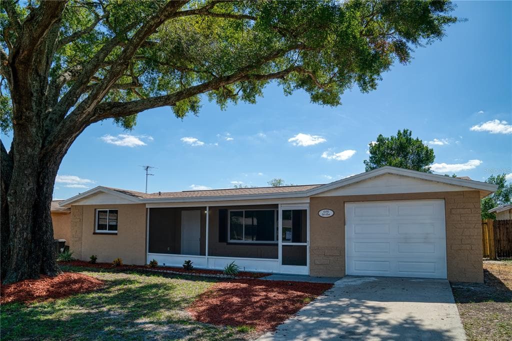 6116 1ST AVENUE NEW PORT RICHEY, FL 34653