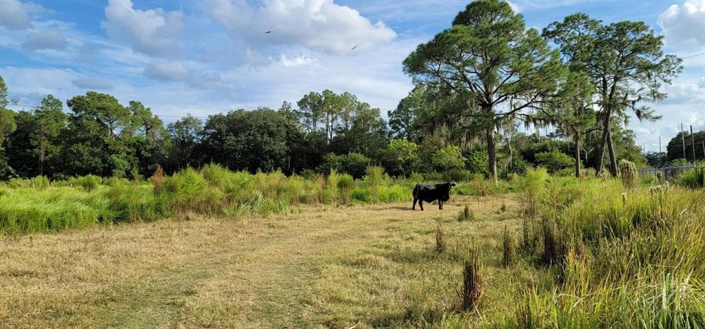 0 THORNHILL ROAD AUBURNDALE, FL 33823