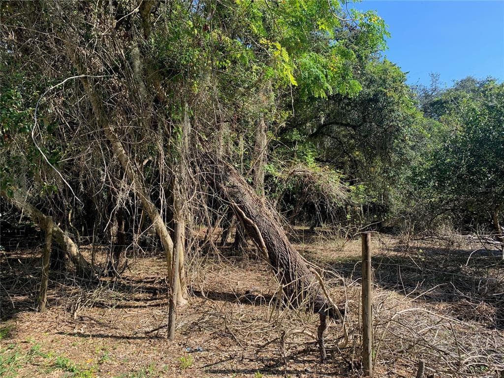 0 AVON PARK CUTOFF ROAD FROSTPROOF, FL 33843