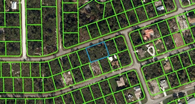 972 ARCHIE SUMMERS ROAD LAKE PLACID, FL 33852
