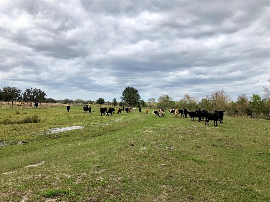 33100 TAYLOR GRADE ROAD PARRISH, FL 34219