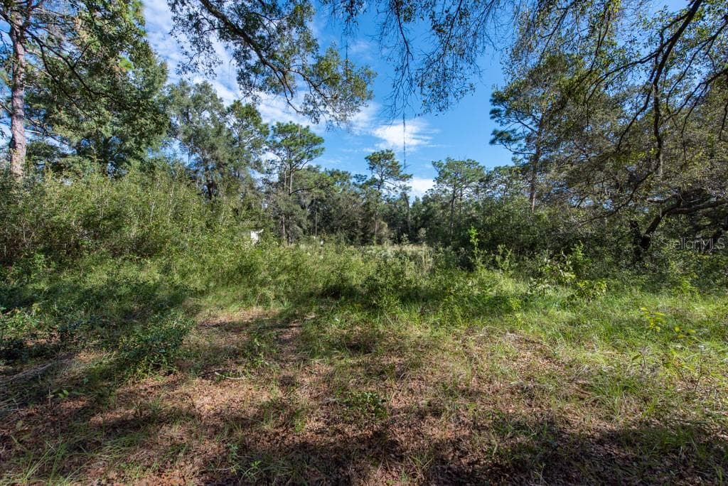 DEASON DRIVE SPRING HILL, FL 34610