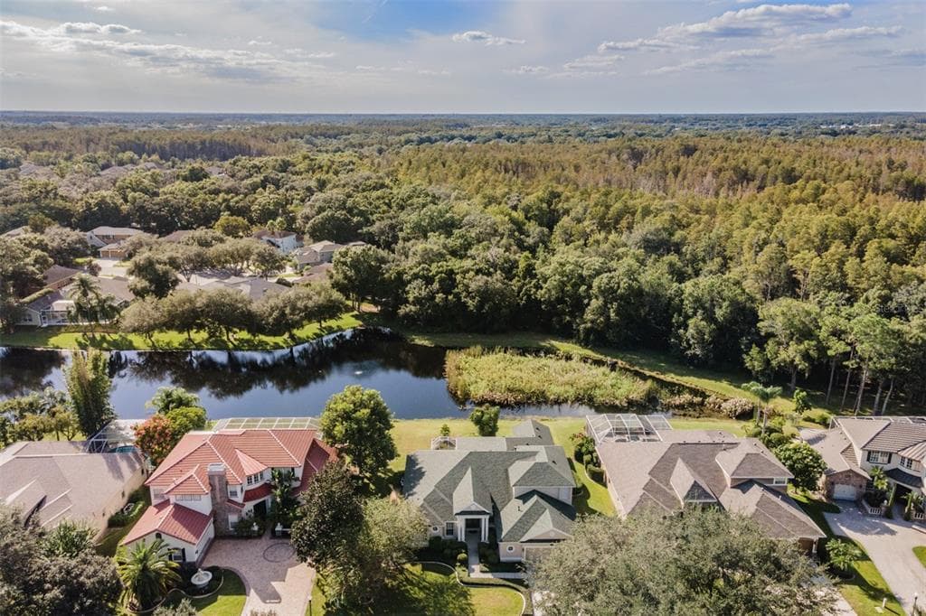 2123 CLIMBING IVY DRIVE TAMPA, FL 33618