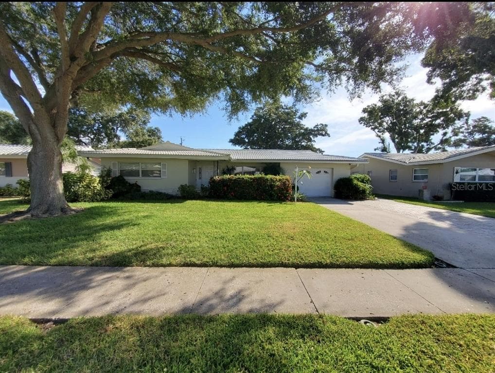 1429 AMBASSADOR