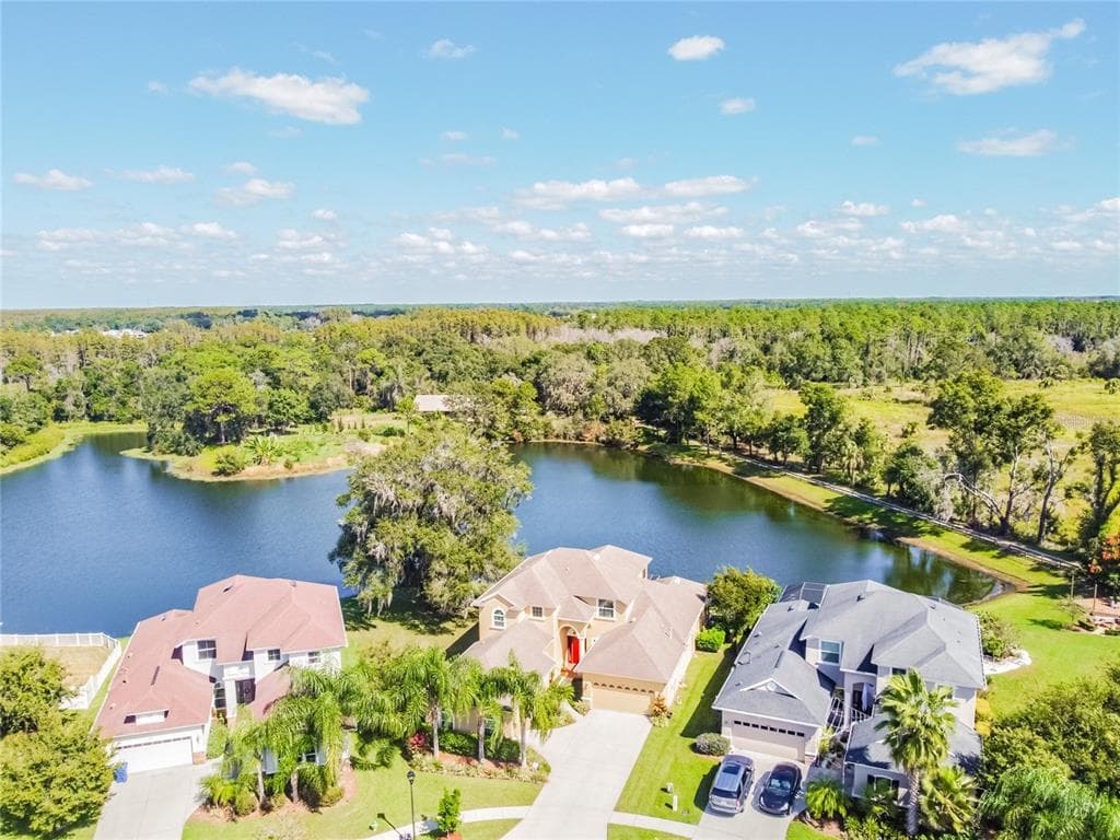 3431 DIAMOND FALLS CIRCLE LAND O LAKES, FL 34638