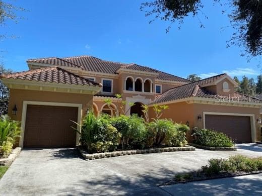 19214 CLIMBING ASTER DRIVE TAMPA, FL 33647