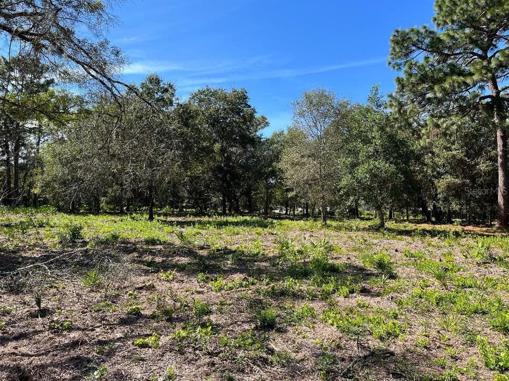 0 BELMACK BOULEVARD ODESSA, FL 33556