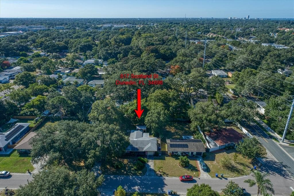 817 SCOTLAND STREET DUNEDIN, FL 34698