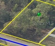 . JAYBIRD ROAD WEEKI WACHEE, FL 34614