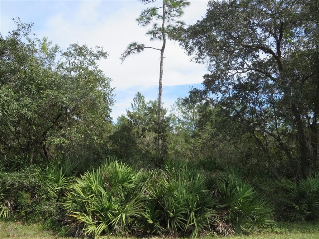WILLINGHAM ROAD CHULUOTA, FL 32766