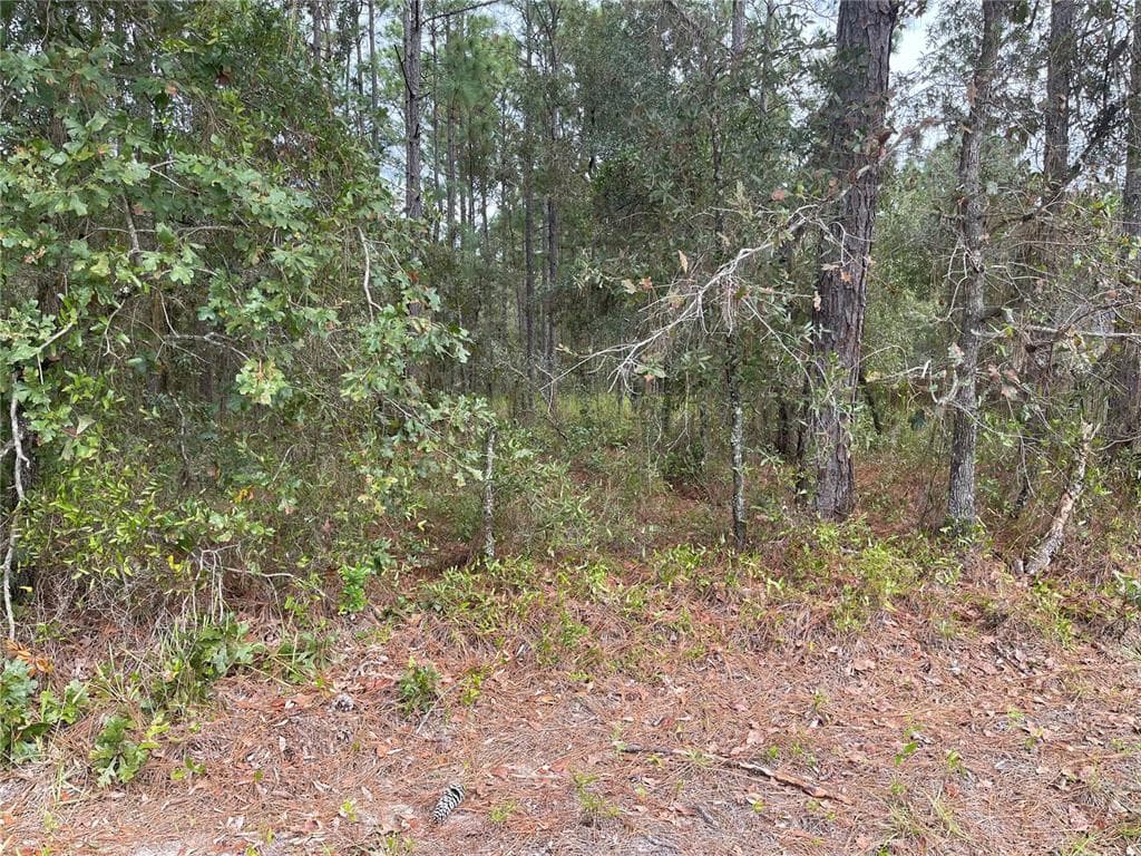 16 SANDERS CIRCLE HOMOSASSA, FL 34446