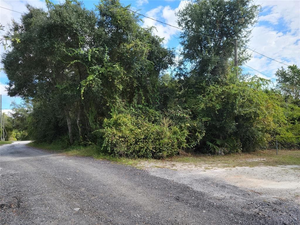 CHARLES AVENUE ORANGE CITY, FL 32763
