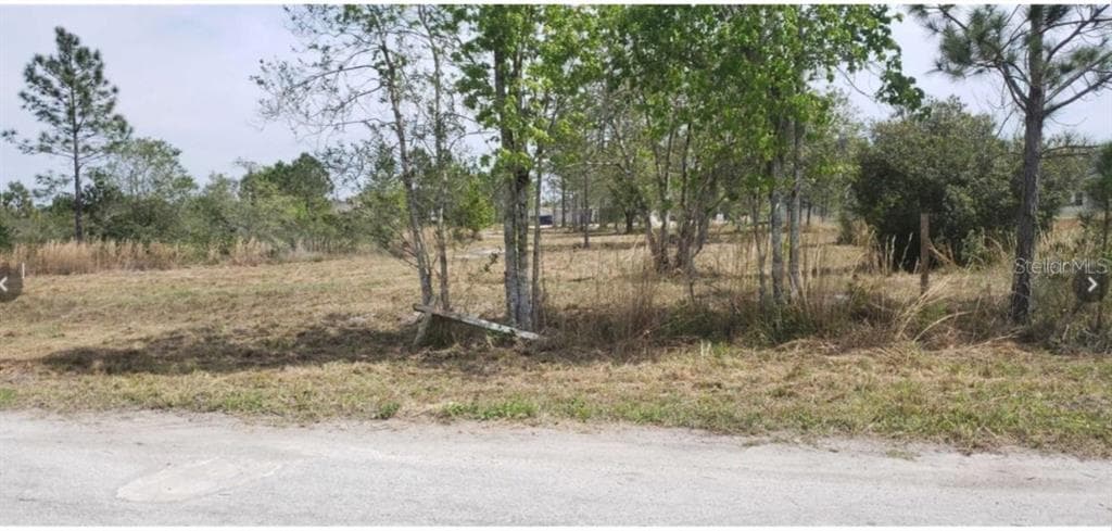 579 LOVERS LANE WESLEY CHAPEL, FL 33544