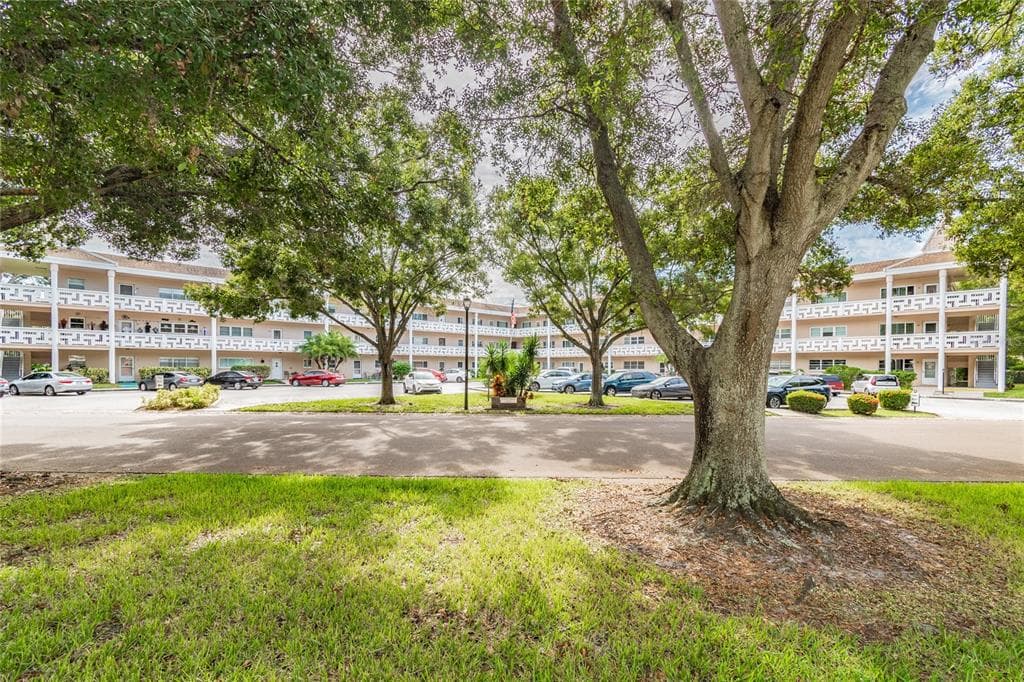 2435 SUMATRAN WAY UNIT 49 CLEARWATER, FL 33763