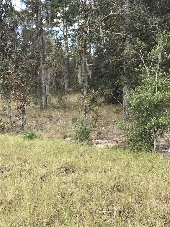 NE 130TH WILLISTON, FL 32696