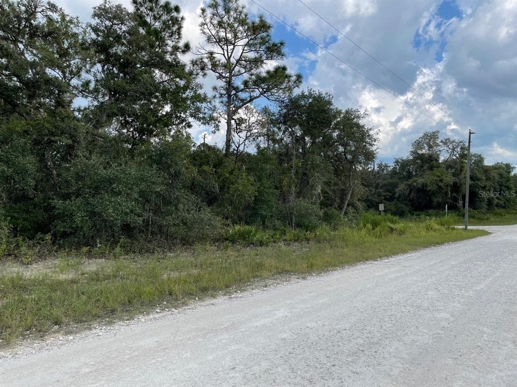 8204 CHIMNEY ROCK DRIVE WEBSTER, FL 33597