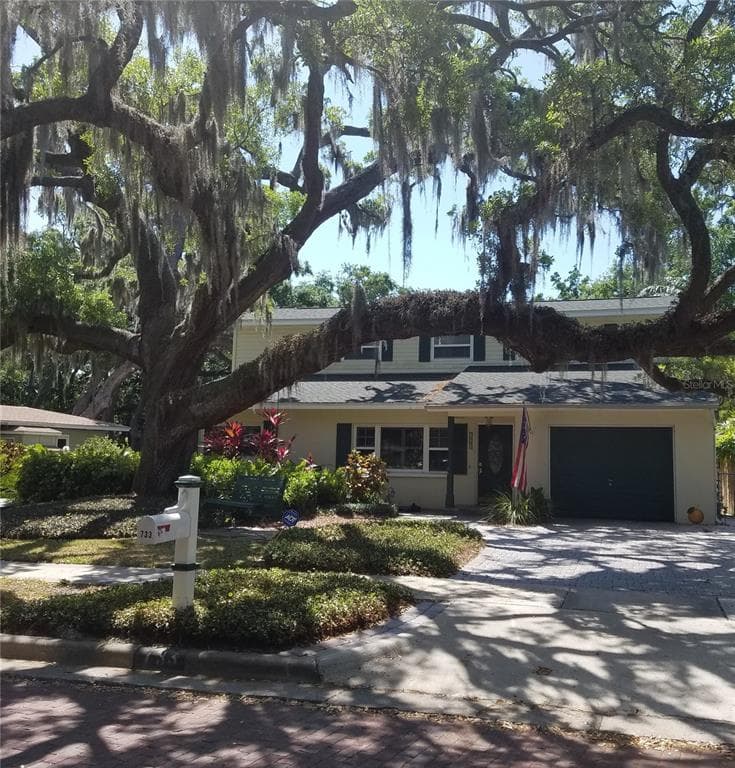 733 SCOTLAND STREET DUNEDIN, FL 34698