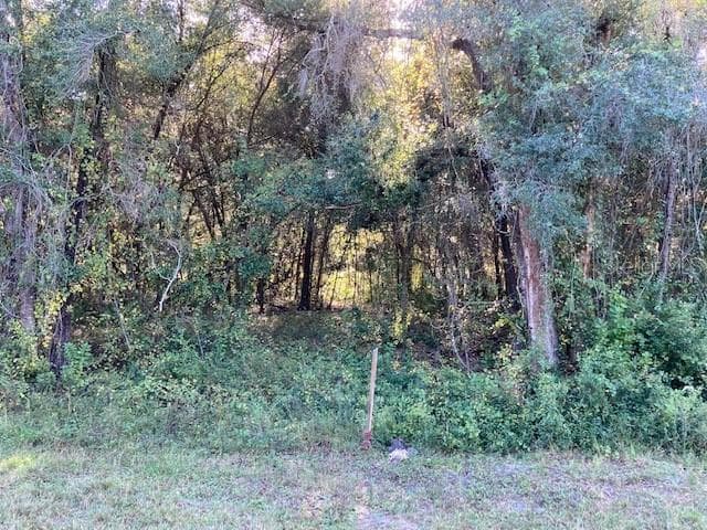 US HIGHWAY 41 LOT A-83 SPRING HILL, FL 34610