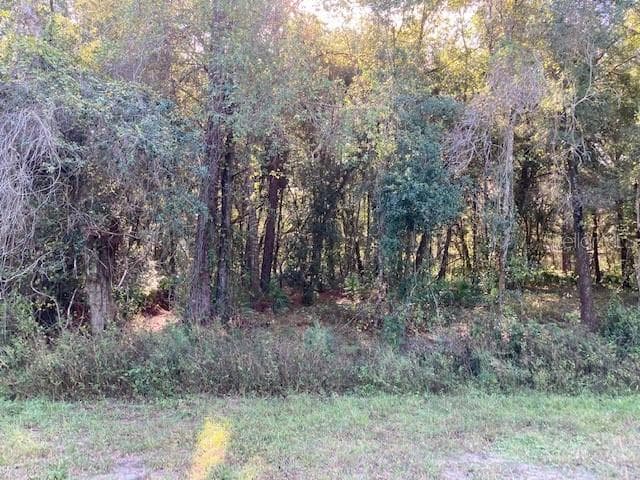 US HIGHWAY 41 LOT A-84 SPRING HILL, FL 34610
