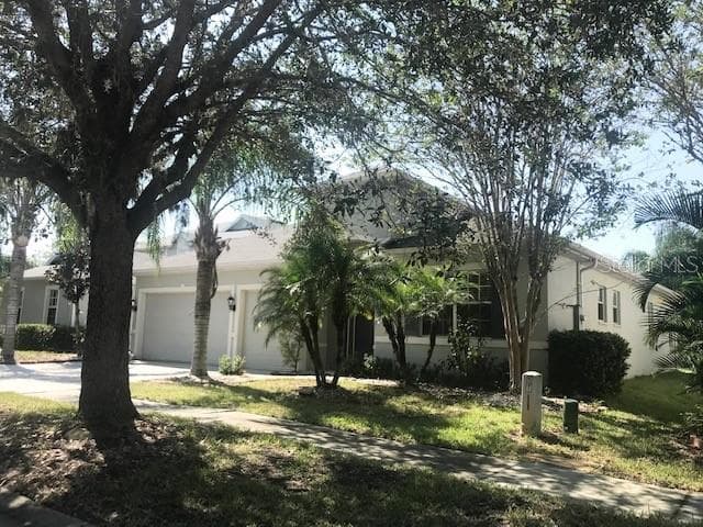 19907 BLUFF OAK BOULEVARD TAMPA, FL 33647