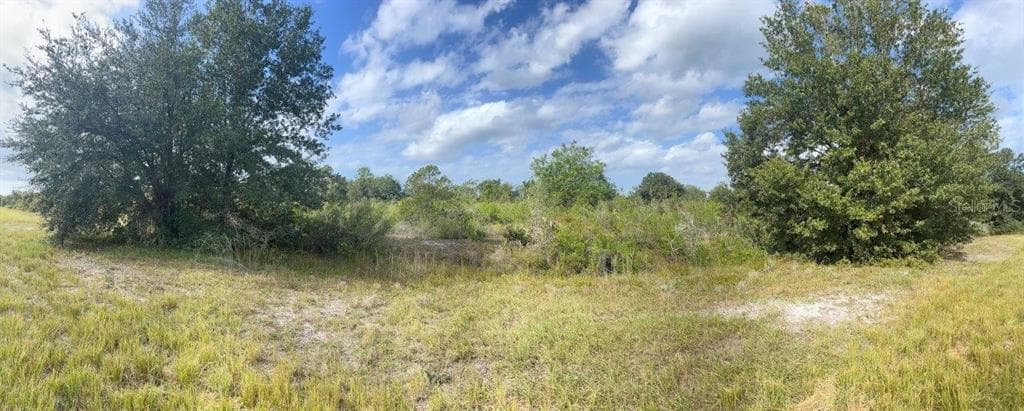 1631 S JURGENSON ROAD AVON PARK, FL 33825