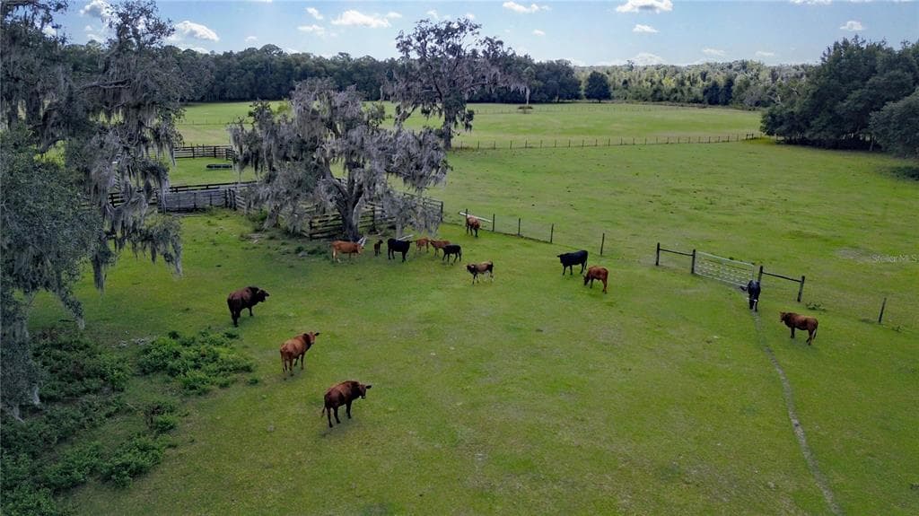 3750 E CART LANE INVERNESS, FL 34453